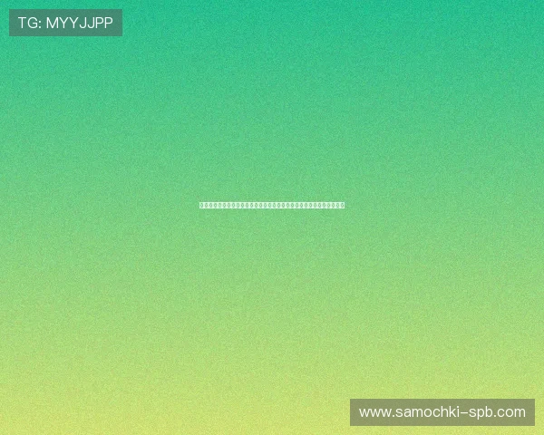 探索球探网即时比分旧版本在世界杯赛事信息发布中的实用性与操作流程